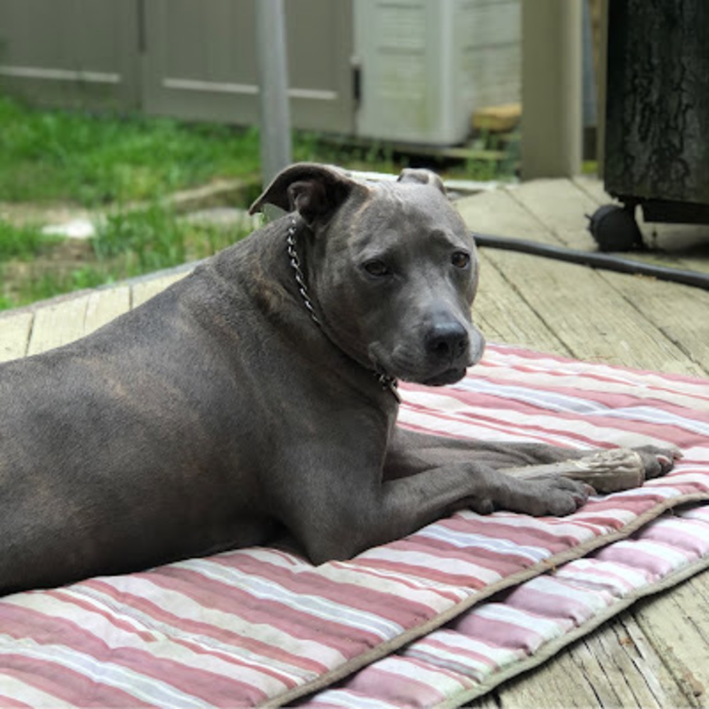 Meet your Posher, Julianna